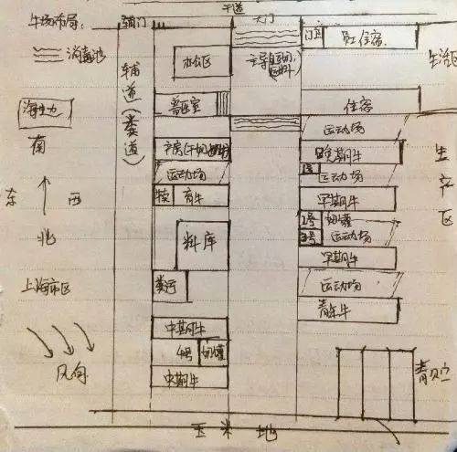 混凝土地面适合养牛吗为什么	(混凝土地面适合养牛吗为什么不能养)